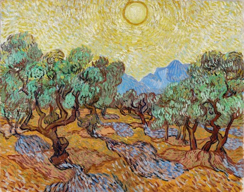 Ulivi di vincent van - ulivi,