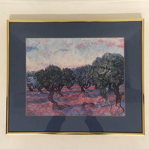 Oliveto vincent van gogh - vincent,