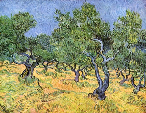 Ulivi vincent van gogh - di,