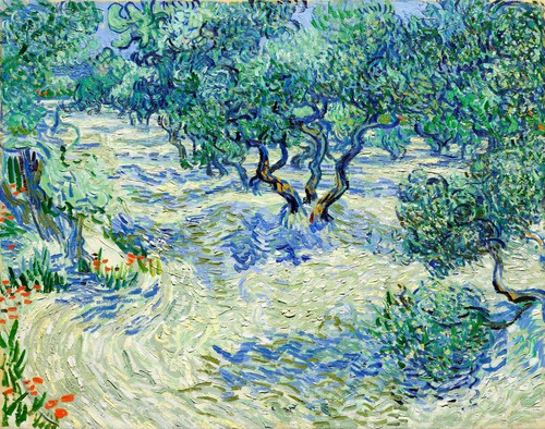 Oliveto vincent van gogh - oliveto,