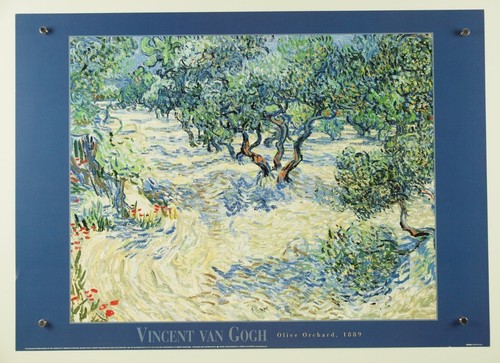 Vincent van gogh oliveto - vincent, ~