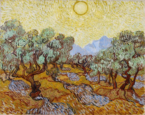 Ulivi con cielo - di, van