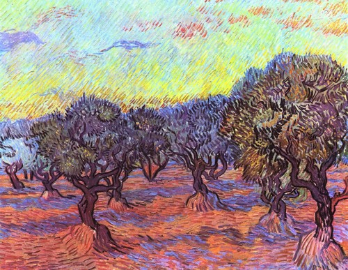 Ulivi vincent van gogh - [2],