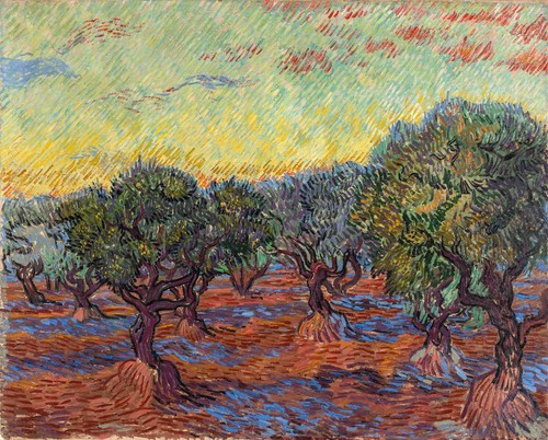 Oliveto saint rémy - di, van