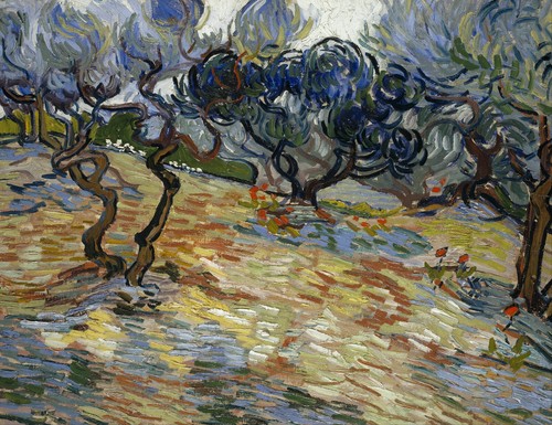 Ulivi vincent van gogh - ulivi,