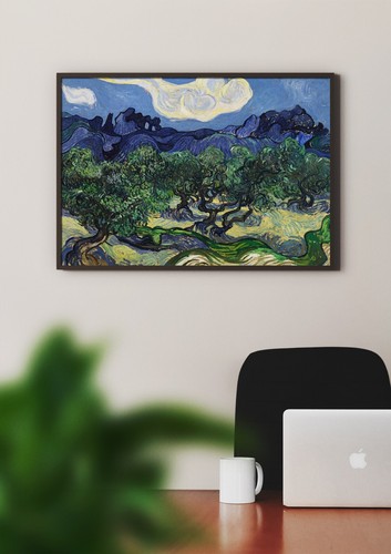 Vincent van gogh ulivi un - vincent,