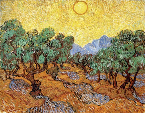 Oliveto vincent van gogh - di,